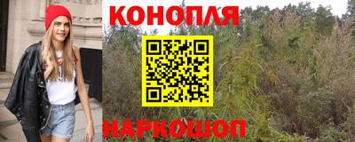 крисы Пенза