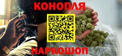 крисы Пенза