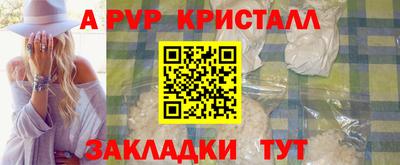 крисы Пенза
