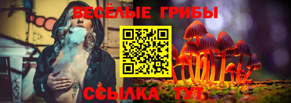 Галлюциногенные грибы ЛСД Малоярославец